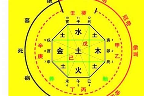 八字喜五行|生辰八字算命